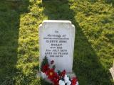 image of grave number 371437